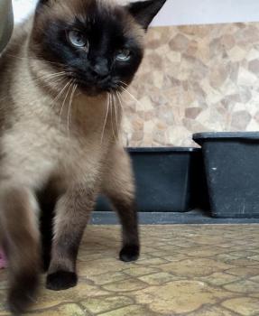 Bild von Betty