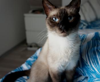 Lola Bild von Lola