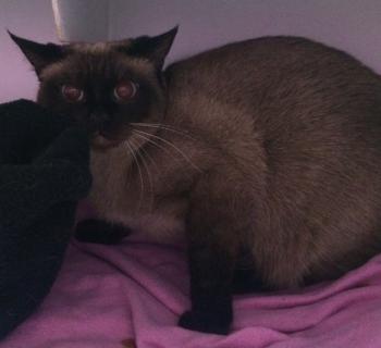 Lola Bild von Lola