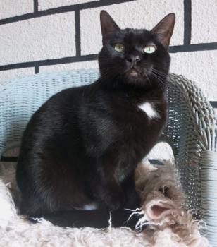 Bild von Flo