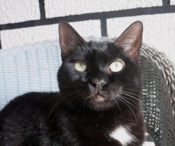 Bild von Flo