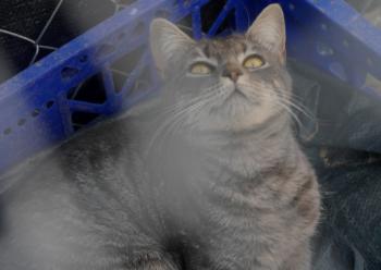 Bild von Bibi