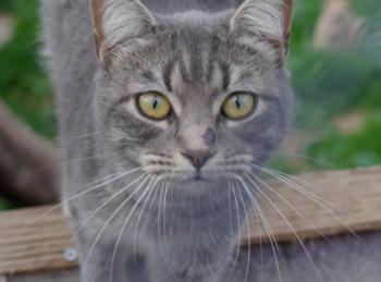 Bild von Bibi