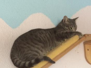 Bild von Sookie