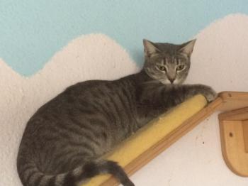 Bild von Sookie