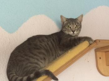 Bild von Sookie