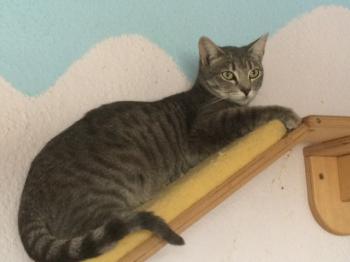 Bild von Sookie