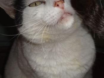 Bild von Gina