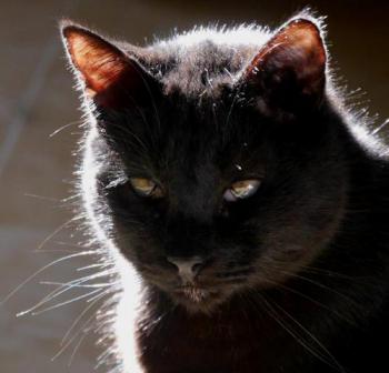 Coco Bild von Coco