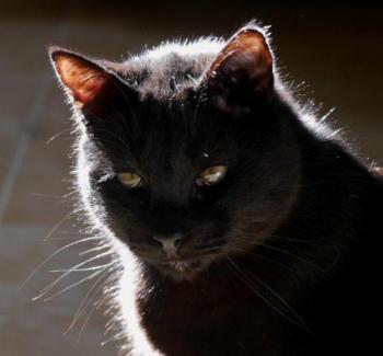 Coco Bild von Coco