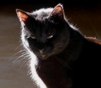 Coco Bild von Coco