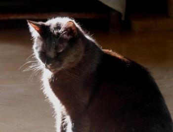Coco Bild von Coco