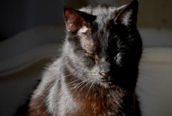 Coco Bild von Coco