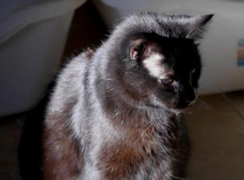 Coco Bild von Coco