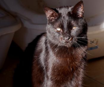 Coco Bild von Coco