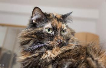 Minnie Bild von Minnie
