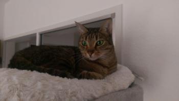 Violeta Bild von Violeta