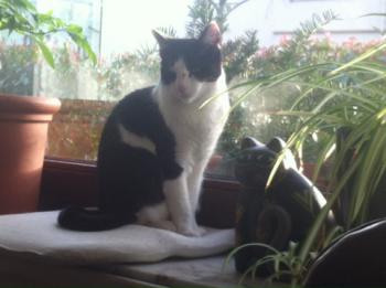 Bild von Fenja