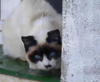 Bild von Florina