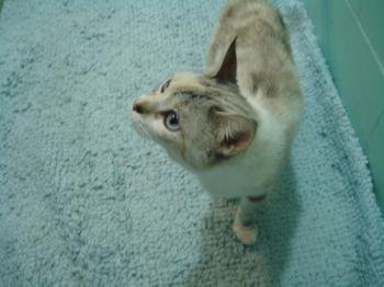 Suki Bild von Suki