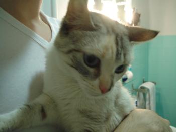 Suki Bild von Suki