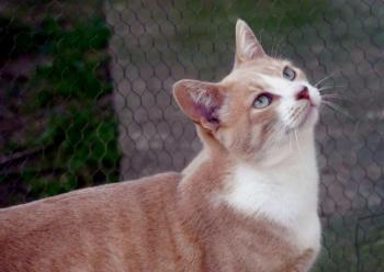 Bastiane Bild von Bastiane