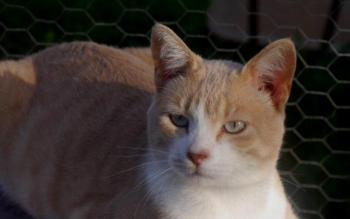 Bastiane Bild von Bastiane