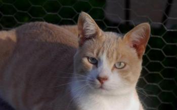 Bastiane Bild von Bastiane