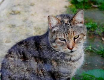 Yvette Bild von Yvette