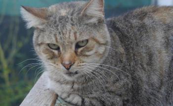 Yvette Bild von Yvette