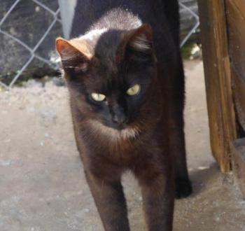 Bobo Bild von Bobo