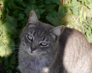 Bild von Bibi
