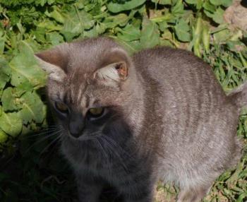 Bild von Bibi