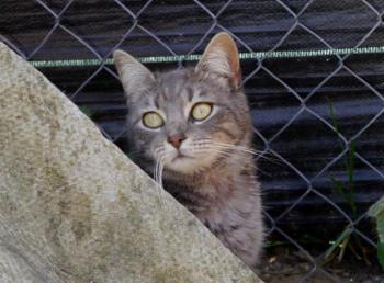 Bild von Bibi