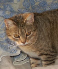 Migoya Bild von Migoya