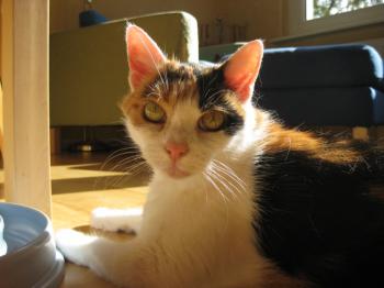 Trixi Bild von Trixi
