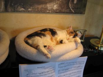 Trixi Bild von Trixi