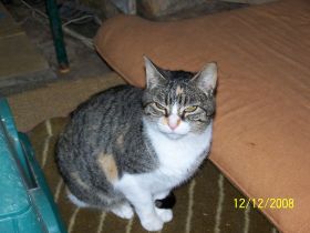 Nora Bild von Nora
