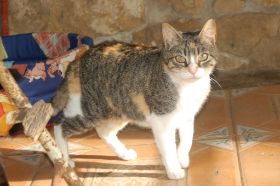 Nora Bild von Nora