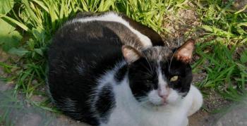 Derek Bild von Derek