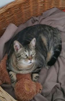 Bild von Trass