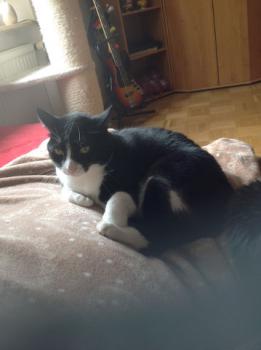 Paula Bild von Paula