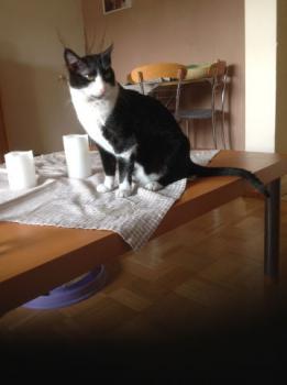 Mami Bild von Mami