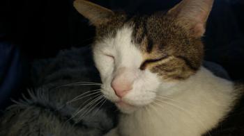 Cuqui Bild von Cuqui