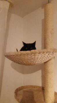 Coco Bild von Coco