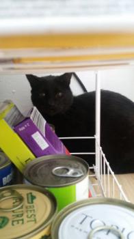 Coco Bild von Coco