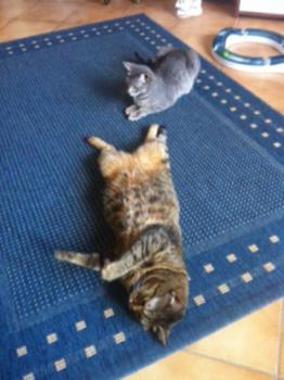 Bild von Sookie