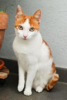 Biba Bild von Biba