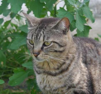 Mikesch Bild von Mikesch