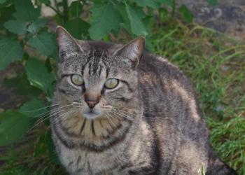 Mikesch Bild von Mikesch
